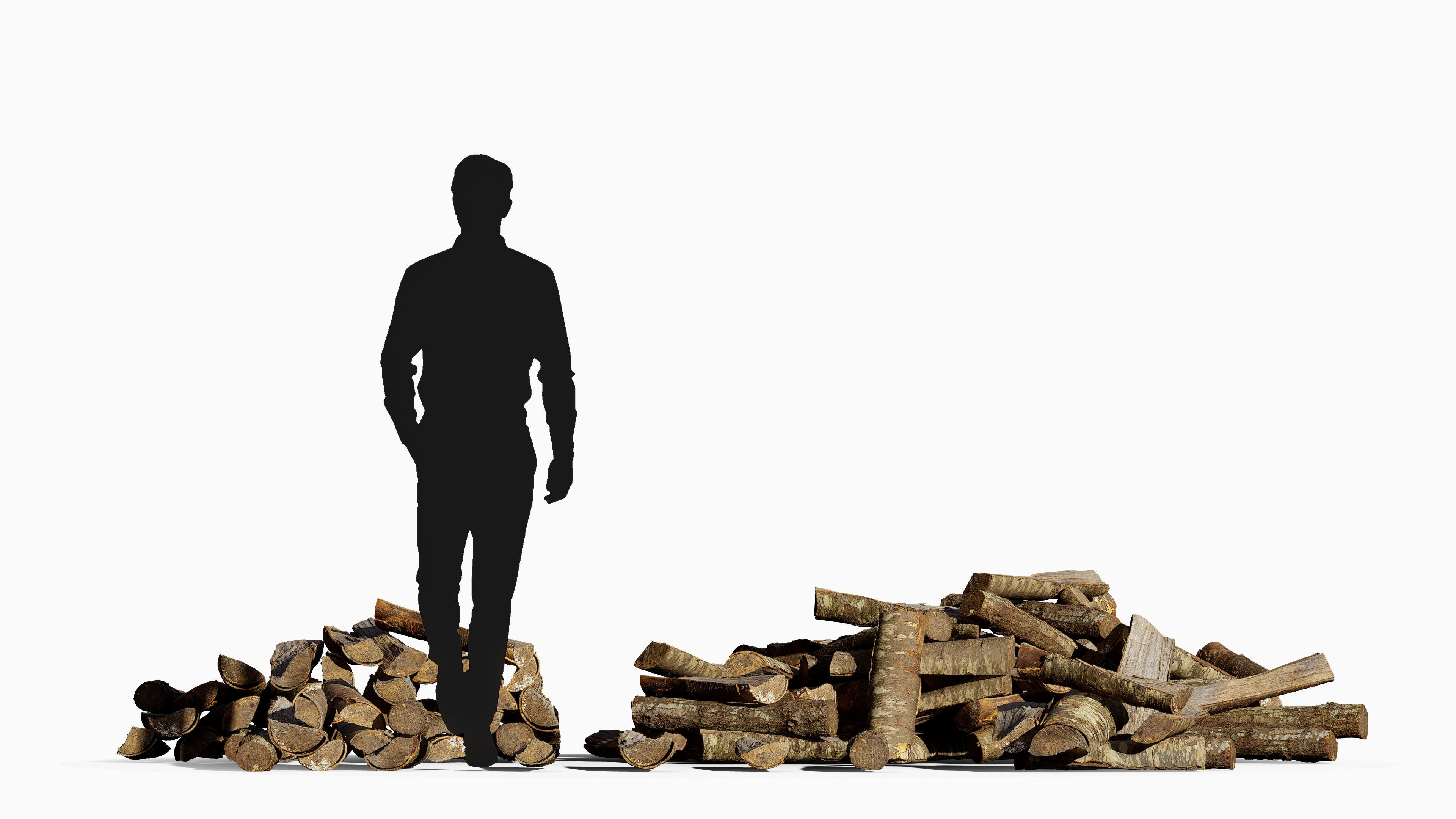 Black Cherry Firewood Pieces 02 Low-poly 3D model_2