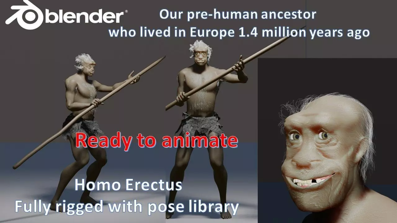 Homo Erectus adult male who lived over a million years ago Free 3D model