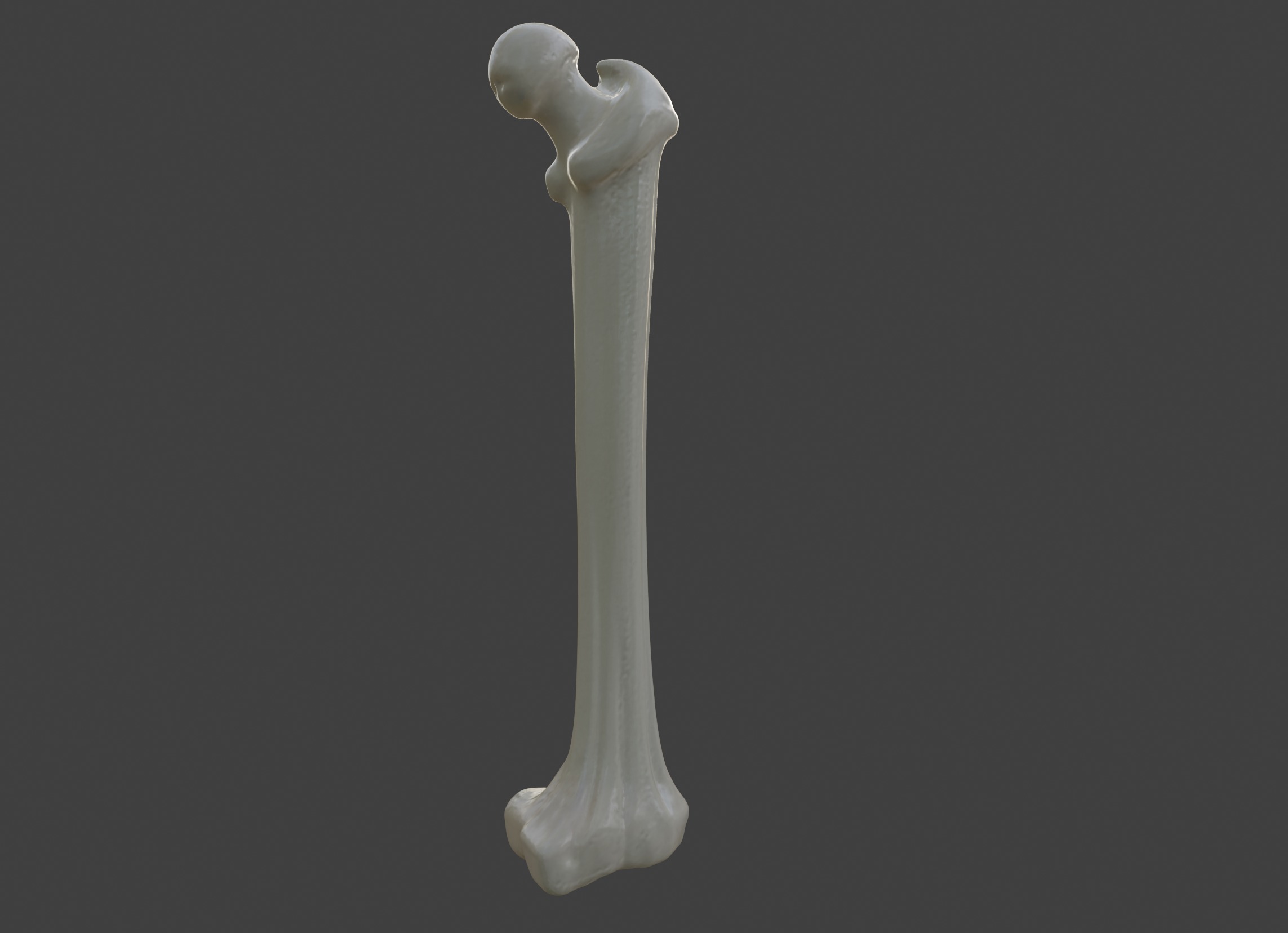 3D Femur Bone Model 3D print model_4