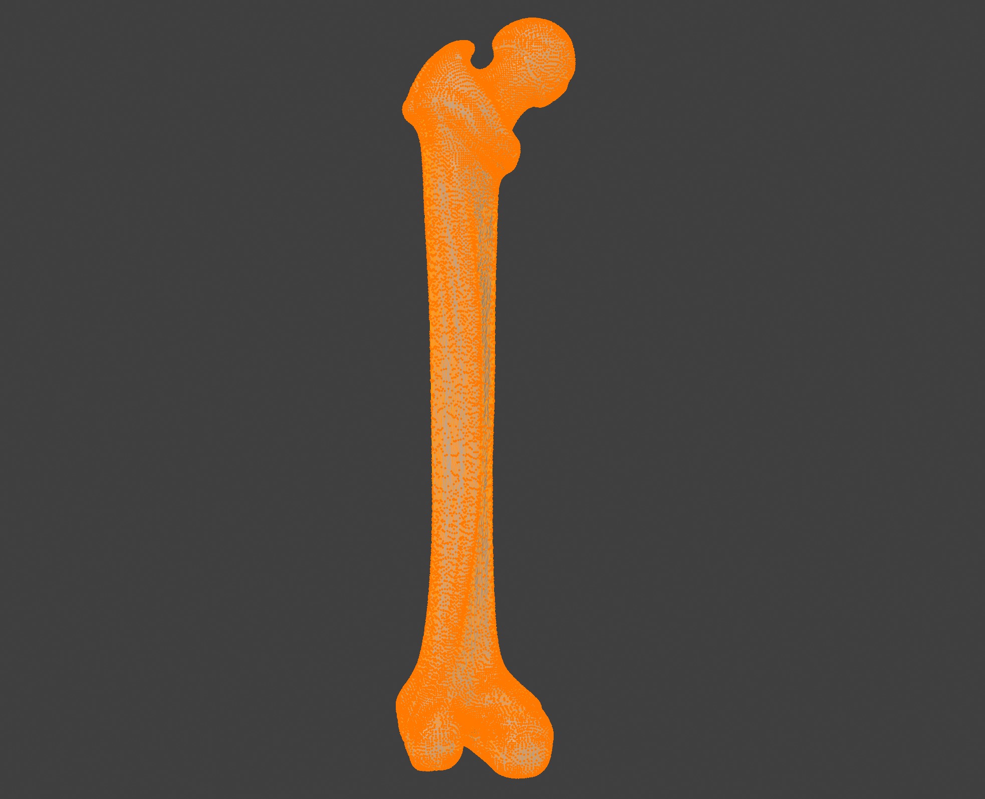 3D Femur Bone Model 3D print model_7