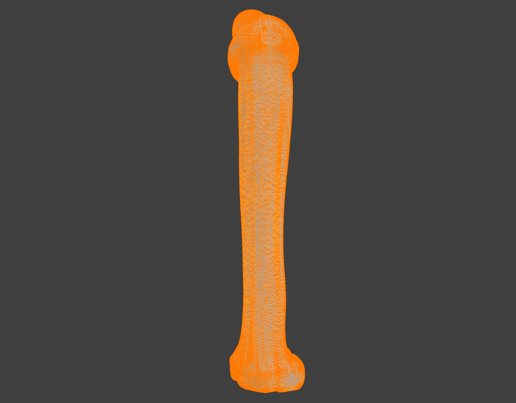 3D Femur Bone Model 3D print model_6