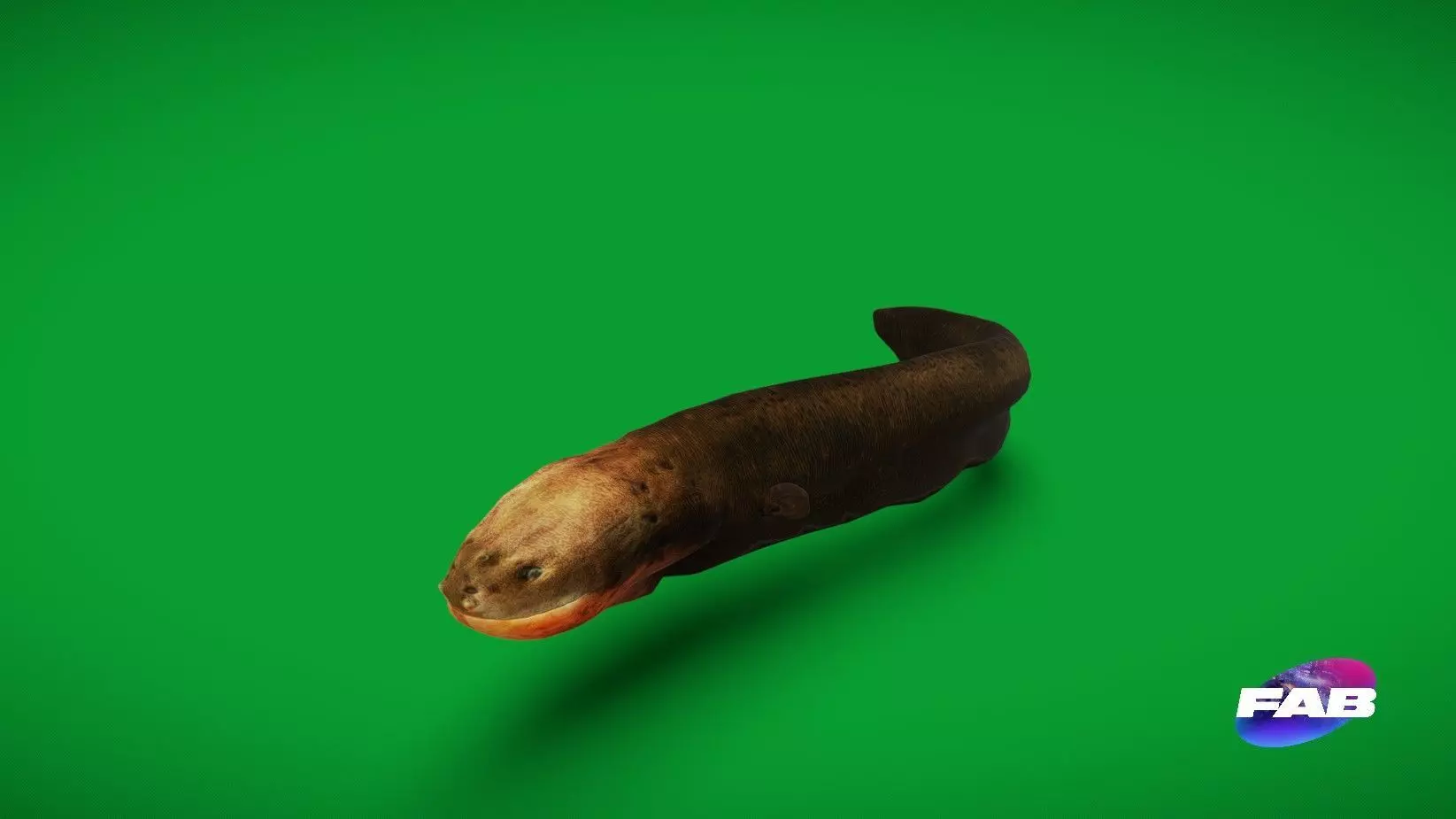 Electric Eel Fish Low-poly 3D model