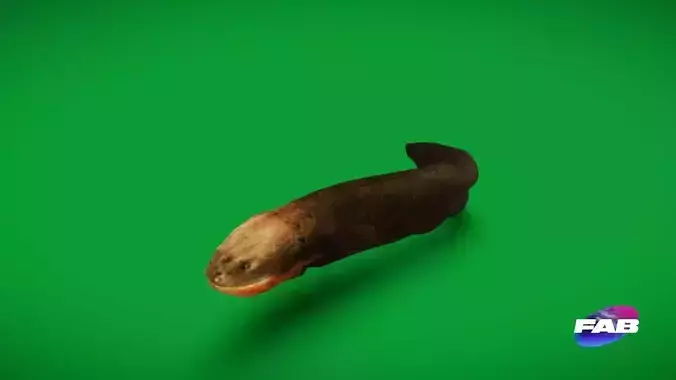 Electric Eel Fish Low-poly 3D model