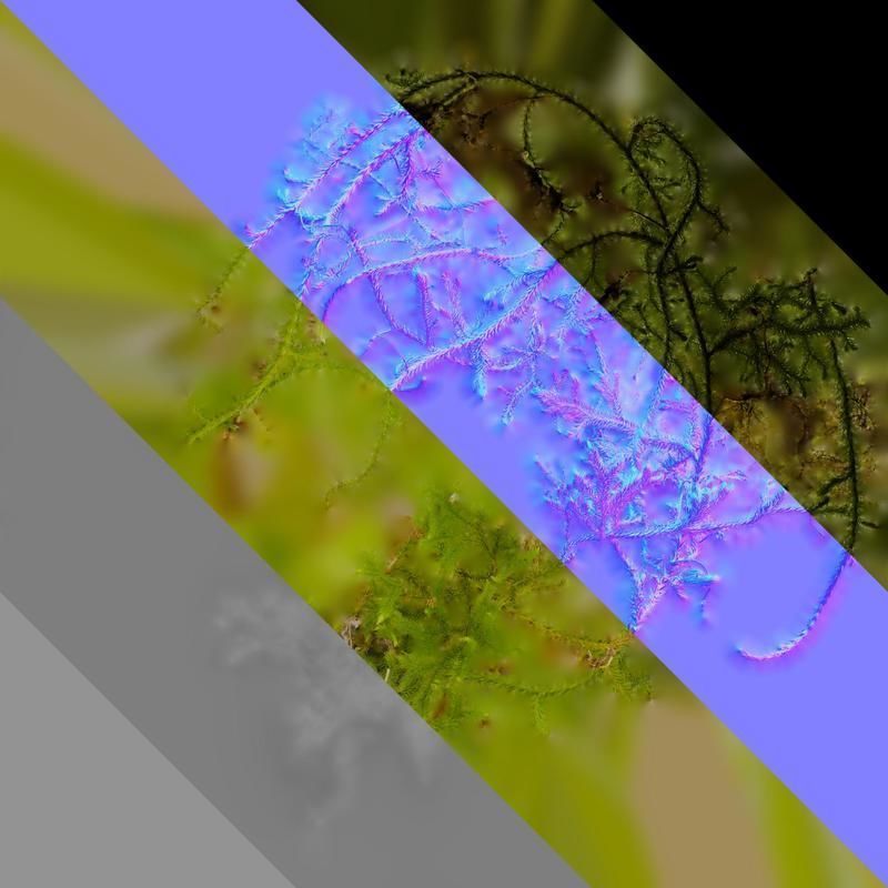 Anydrafts Palhinhaea cernua Atlas 03 Texture_8