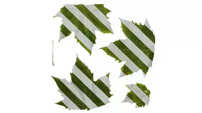 Anydrafts Platanus orientalis Leaf 01