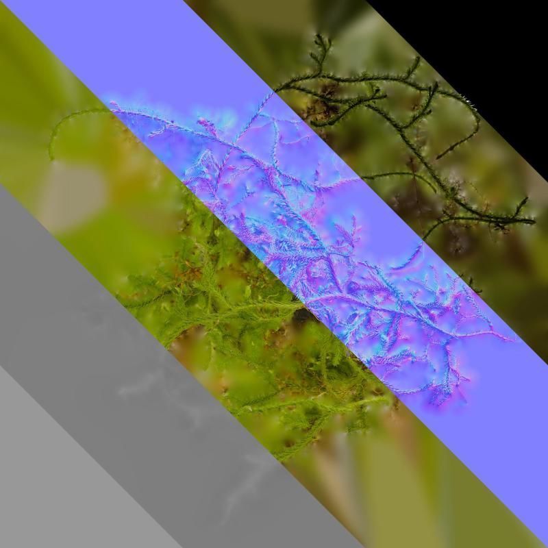 Anydrafts Palhinhaea cernua Atlas 04 Texture_8