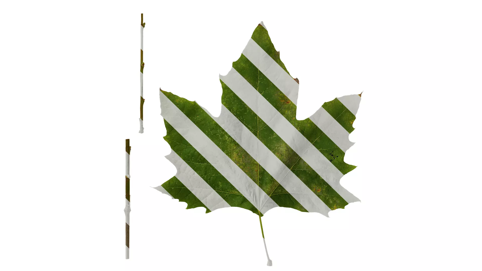 Anydrafts Platanus orientalis Leaf 04 Texture