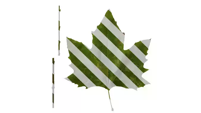 Anydrafts Platanus orientalis Leaf 04