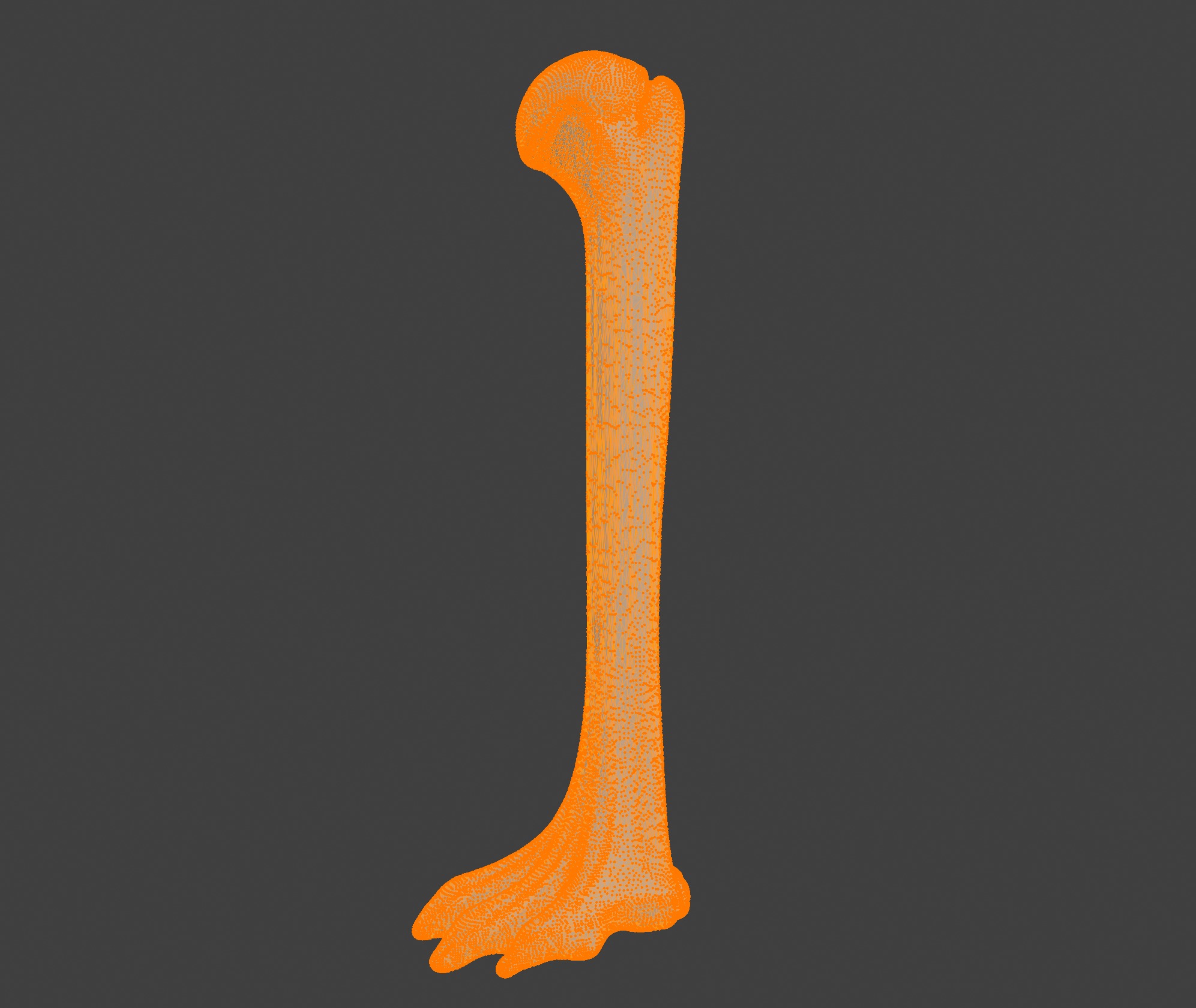 3D Model of Humerus Bone 3D print model_5