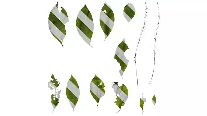 Anydrafts Persicaria filiformis Atlas 02