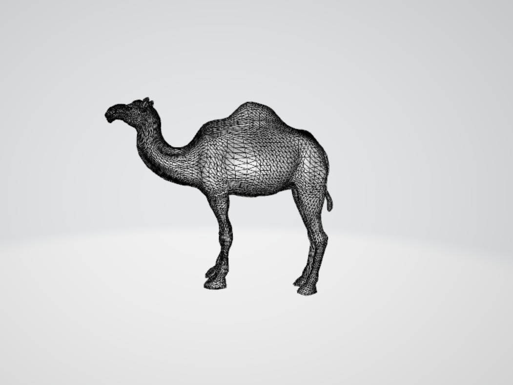 3D Realistic Camel Model Low-poly 3D model_16