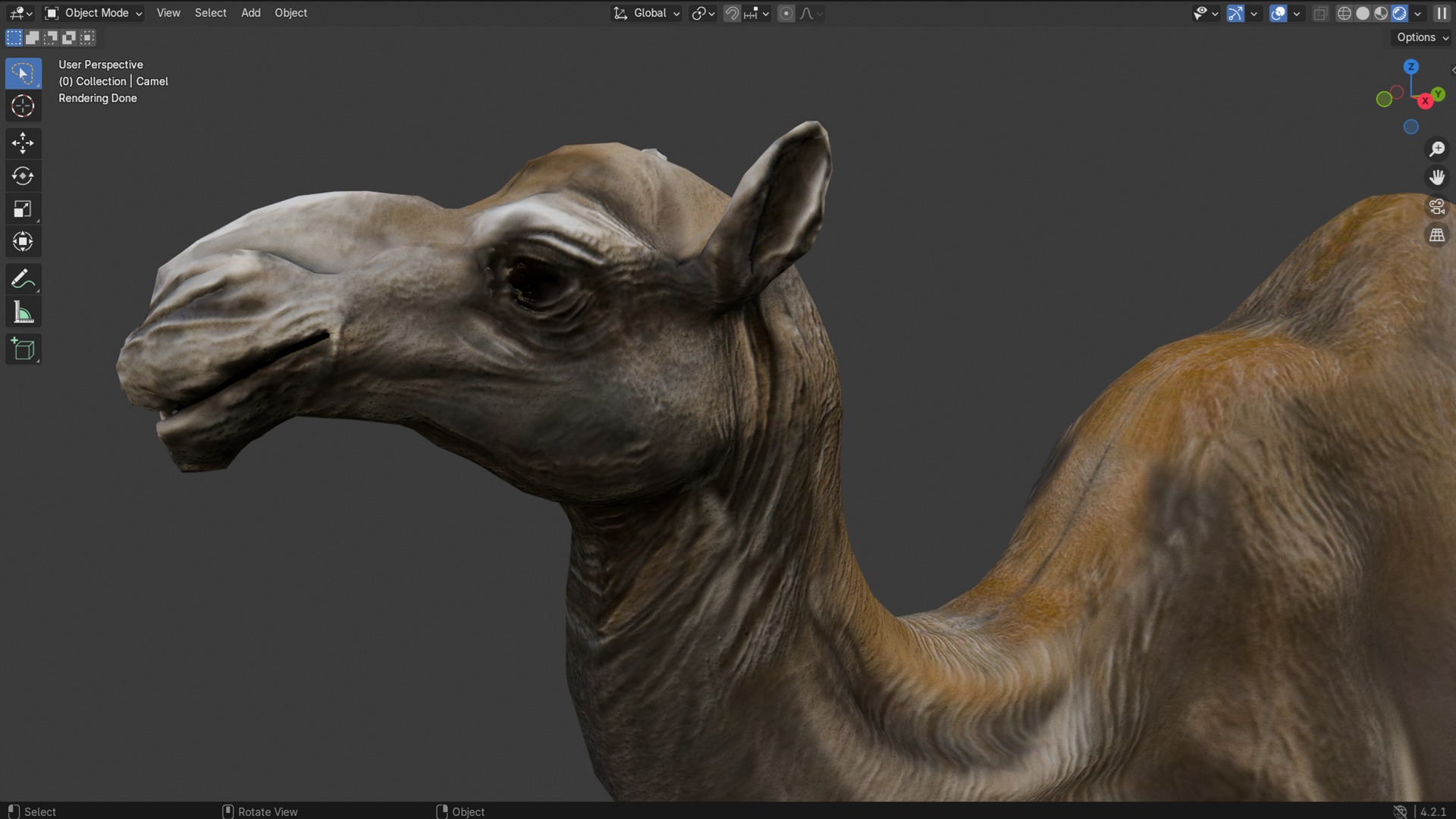 3D Realistic Camel Model Low-poly 3D model_4