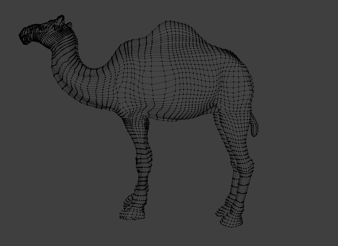 3D Realistic Camel Model Low-poly 3D model_17
