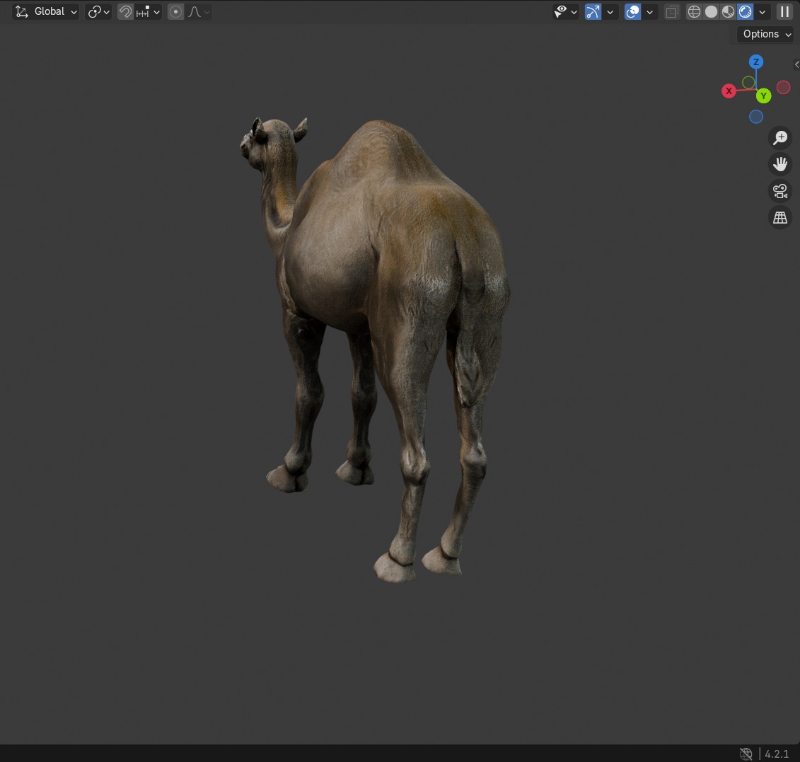3D Realistic Camel Model Low-poly 3D model_7