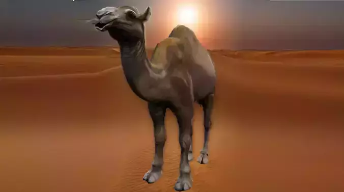 3D Realistic Camel Model