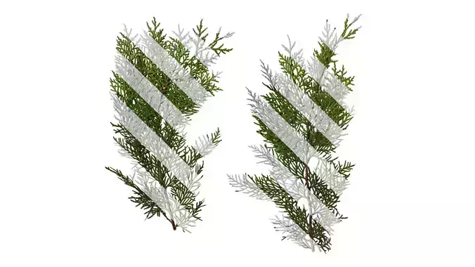 Anydrafts Platycladus orientalis Atlas 02 Texture
