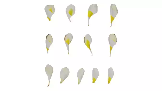 Anydrafts Plumeria Flower 02