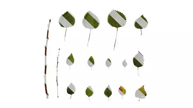 Anydrafts Pouzolzia zeylanica Atlas 02