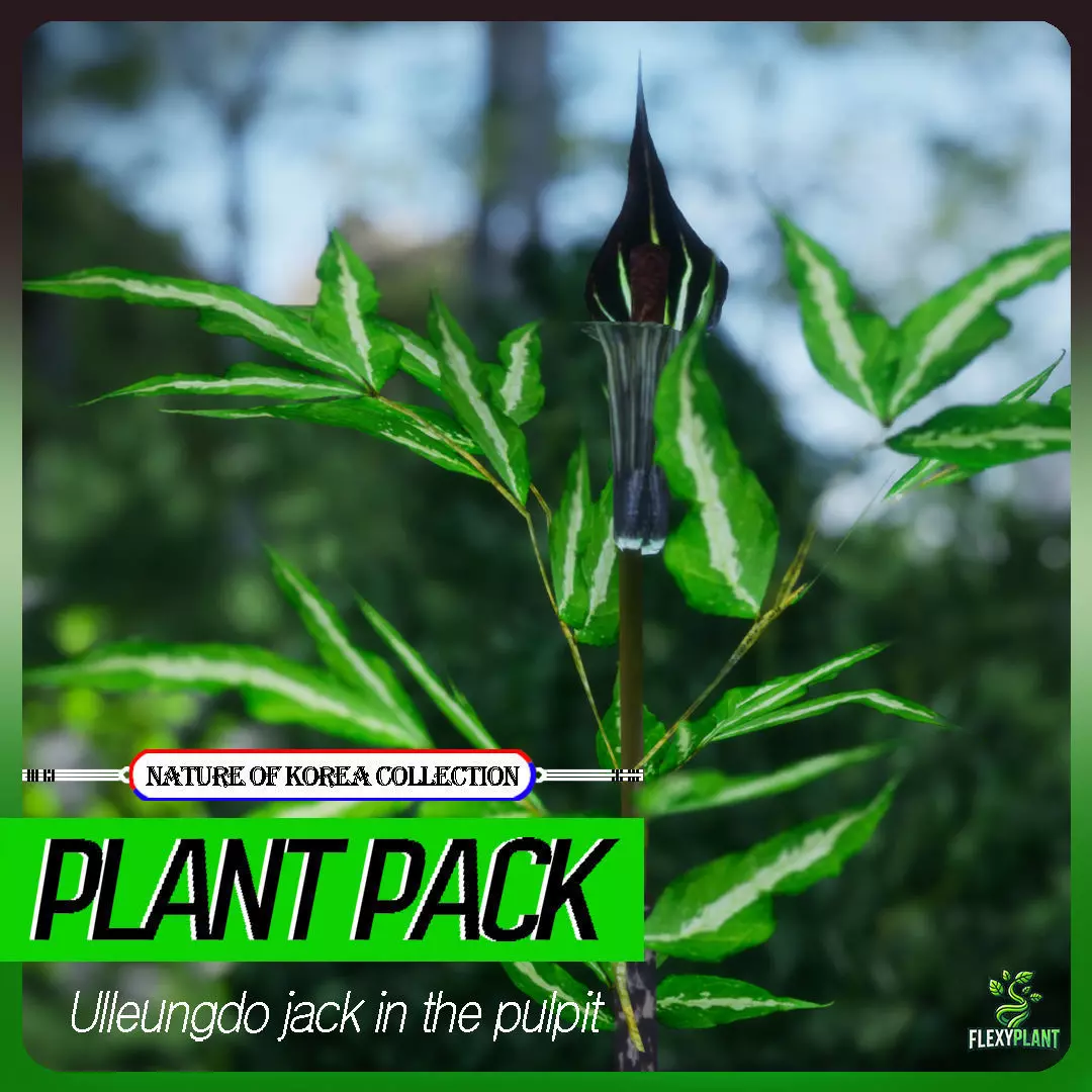 Korean Endemic Species Plant - 4 Ullengdo jack in the pulpit Low-poly 3D model