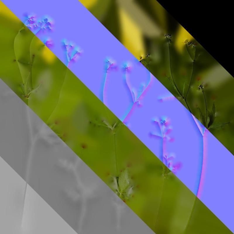 Anydrafts Ranunculus japonicus Atlas 01 Texture_8