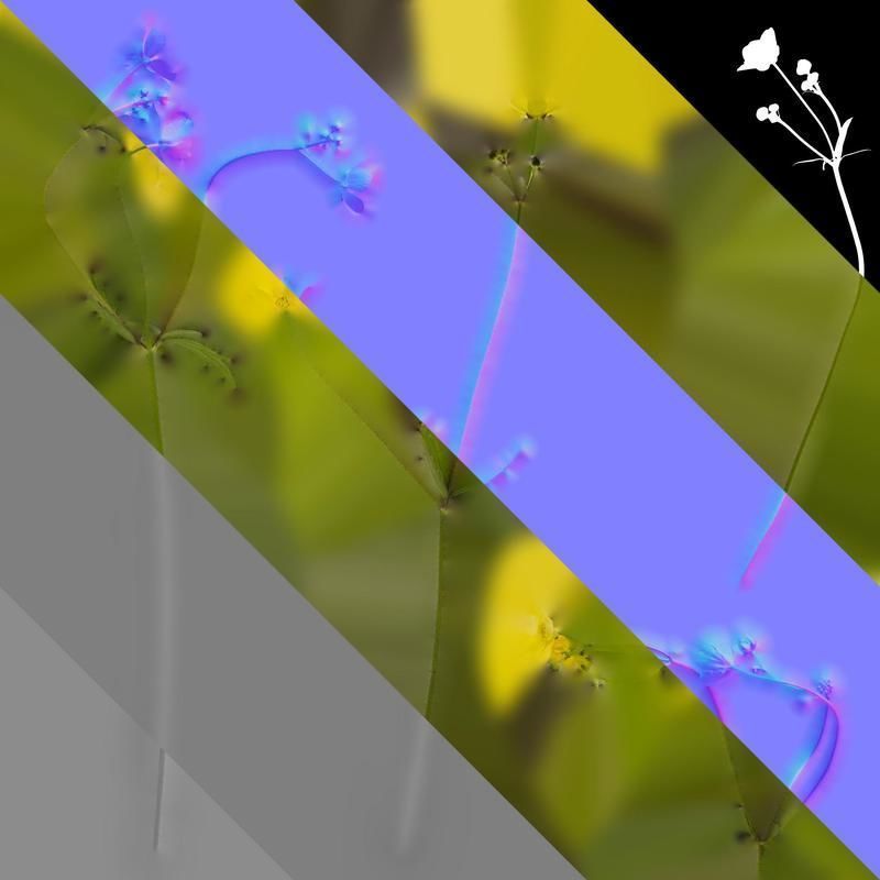 Anydrafts Ranunculus japonicus Atlas 02 Texture_8