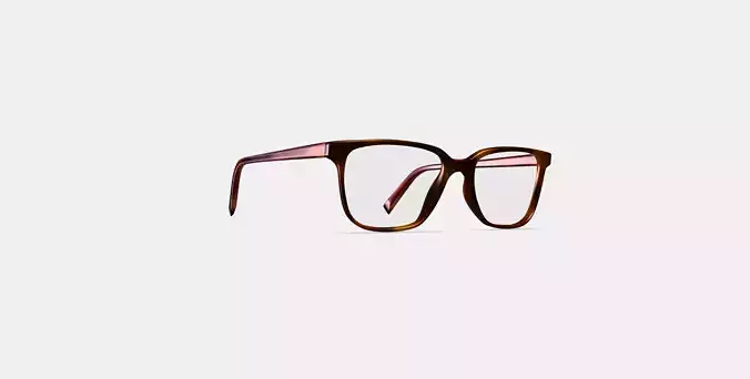 Hayden Eyeglasses in Rye Tortoise 3D model