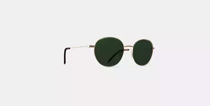 Merrick Sunglasses in Polished Gold