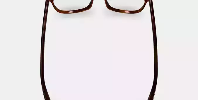 Bodie Eyeglasses in Rye Tortoise