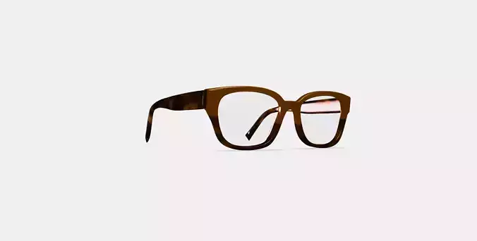 Wentworth Eyeglasses in Saddle Tortoise Fade 3D model