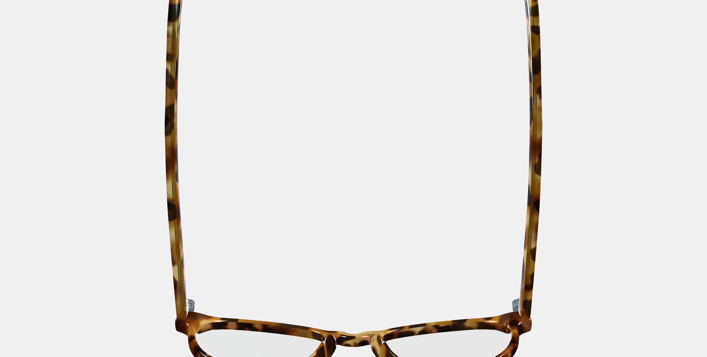 Whalen Low Bridge Fit Eyeglasses in Acorn Tortoise 3D model_8