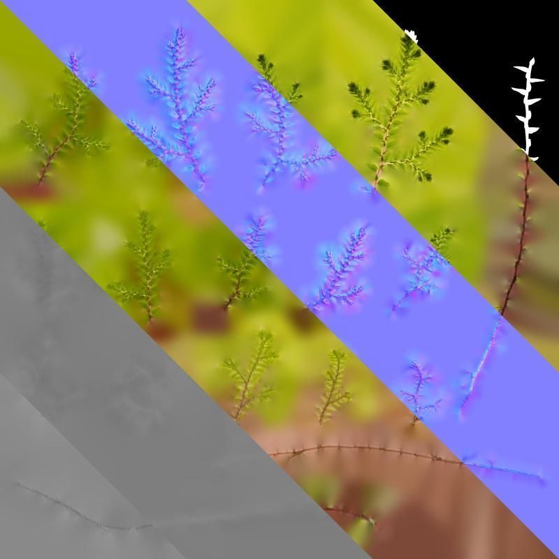 Anydrafts Selaginella heterostachys Atlas 01 Texture_8