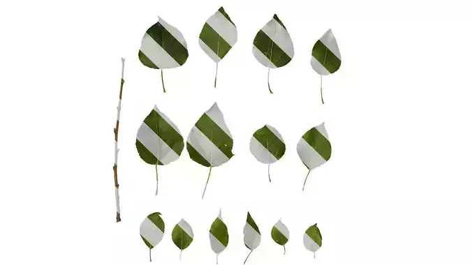 Anydrafts Populus Leaf 13