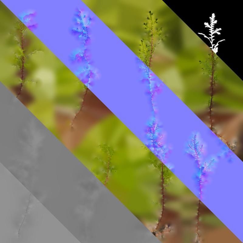 Anydrafts Selaginella heterostachys Atlas 03 Texture_8