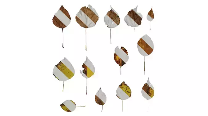 Anydrafts Populus Leaf 15