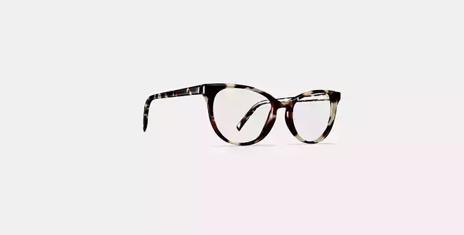 Shea Eyeglasses in Burnt Lemon Tortoise 3D model