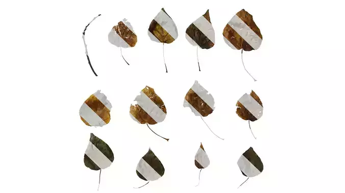 Anydrafts Populus Leaf 18