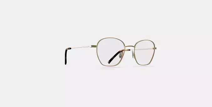 Robbie Eyeglasses in Polished Gold 3D model