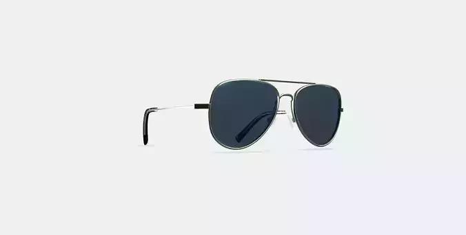 Raider Sunglasses in Polished Silver