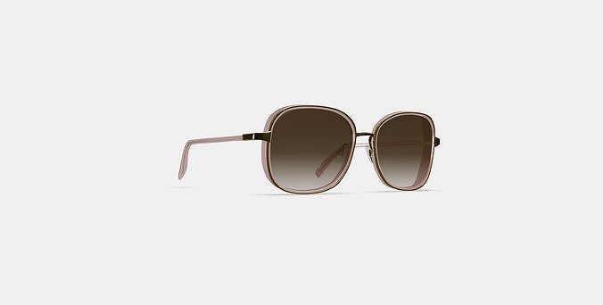 Fernanda Sunglasses in Antique Rose with Polished Gold 3D model