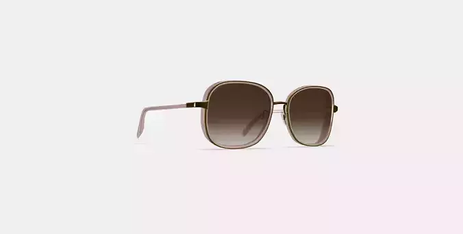 Fernanda Sunglasses in Antique Rose with Polished Gold