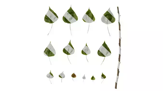 Anydrafts Populus Leaf 20