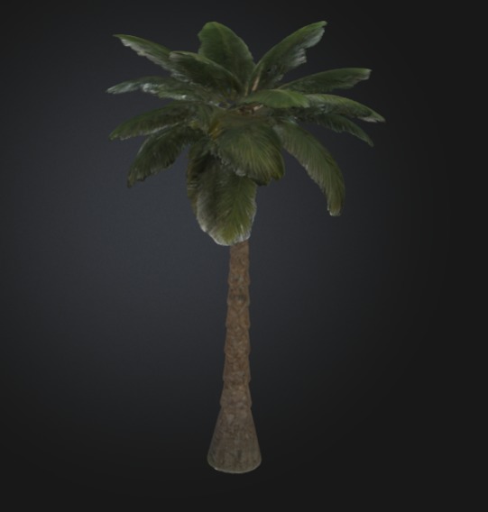 3D printable palm tree model 3D print model_1