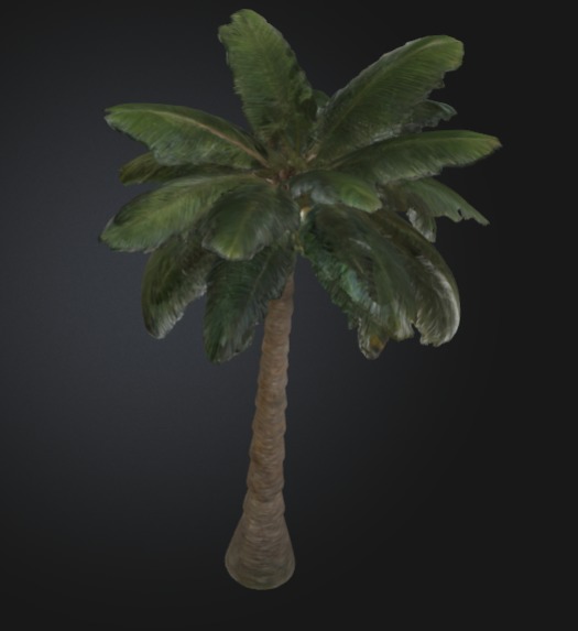 3D printable palm tree model 3D print model_2