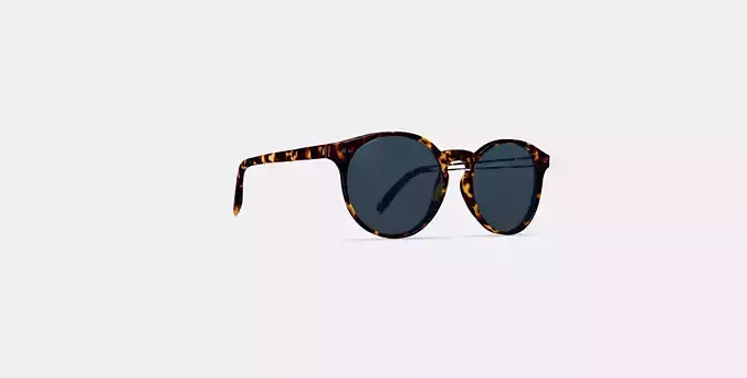 Renton Sunglasses in Black Oak Tortoise
