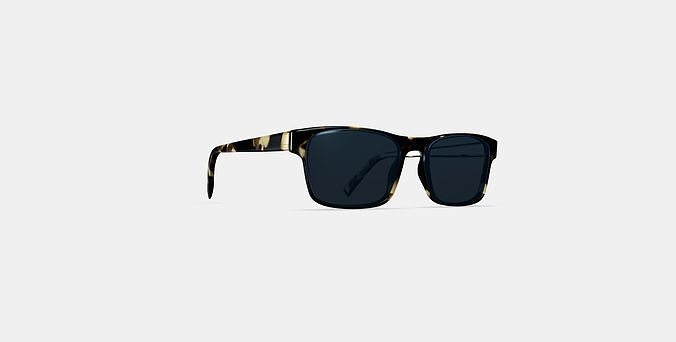 Perkins Sunglasses in Burnt Honeycomb Tortoise 3D model