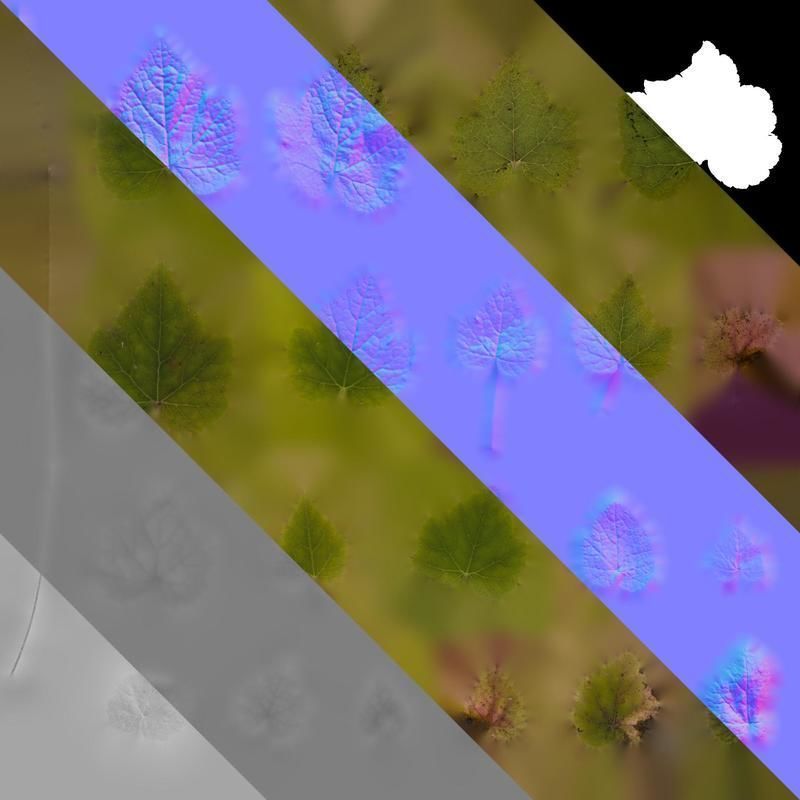 Anydrafts Tiarella polyphylla Leaf 01 Texture_8