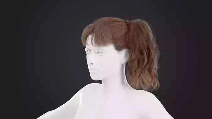 Realistic Female Hair