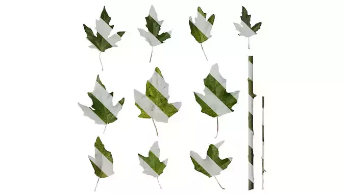 Anydrafts Populus alba Leaf 04 F Texture