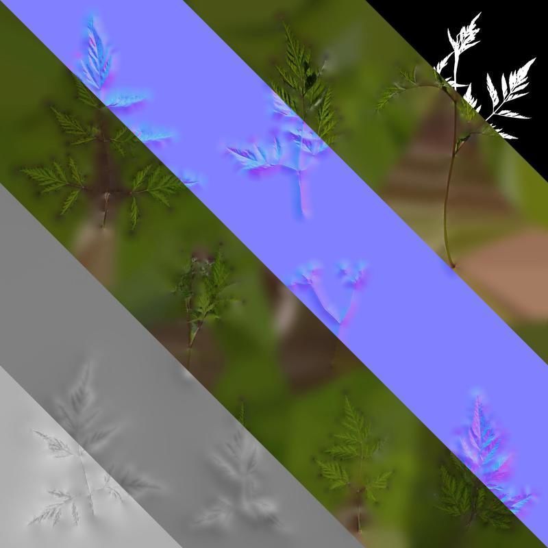 Anydrafts Torilis scabra Atlas 04 Texture_8