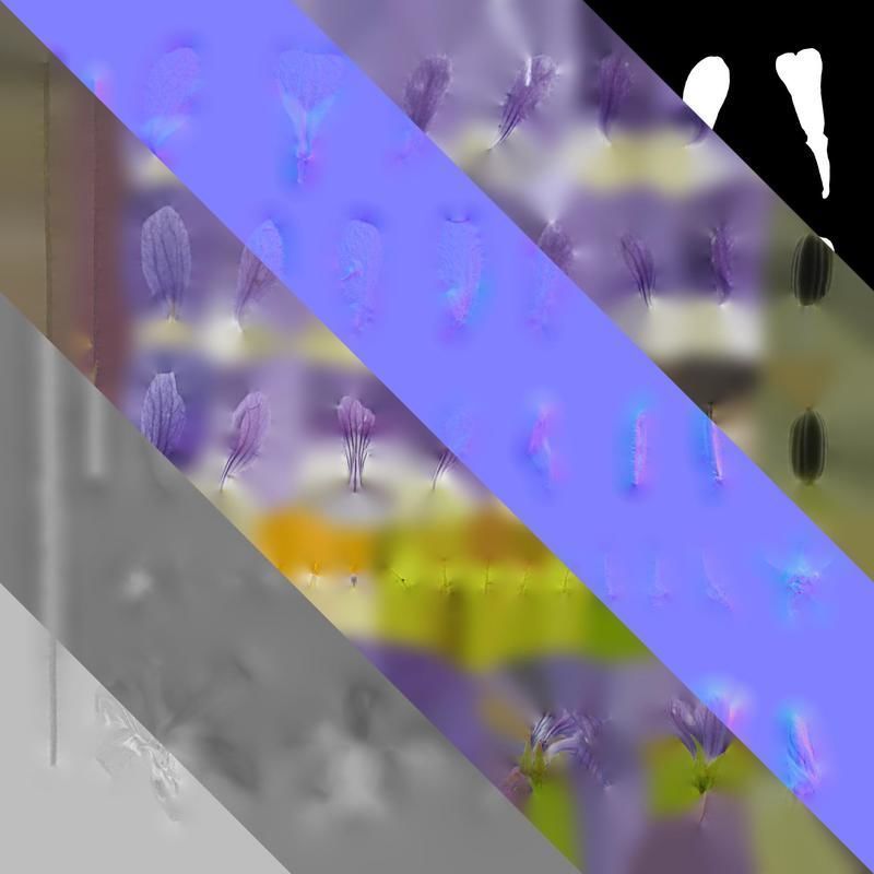 Anydrafts Viola philippica Flower 01 Texture_8